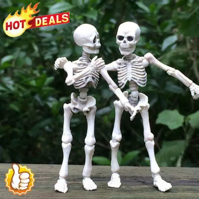 Halloween Movable Man Skeleton Human Model Skull Full Body Mini Figure Toy^