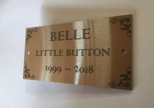 Pet Urn Marker Plaque Engraved Memorial Stainless Steel Mounting Holes 100x50mm