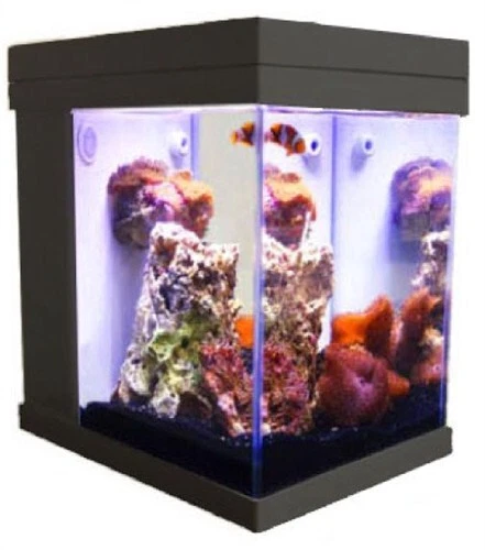[Black] JBJ Mini Cubey 3 Gallon Pico LED Series Nano Cube Aquarium Fish Tank