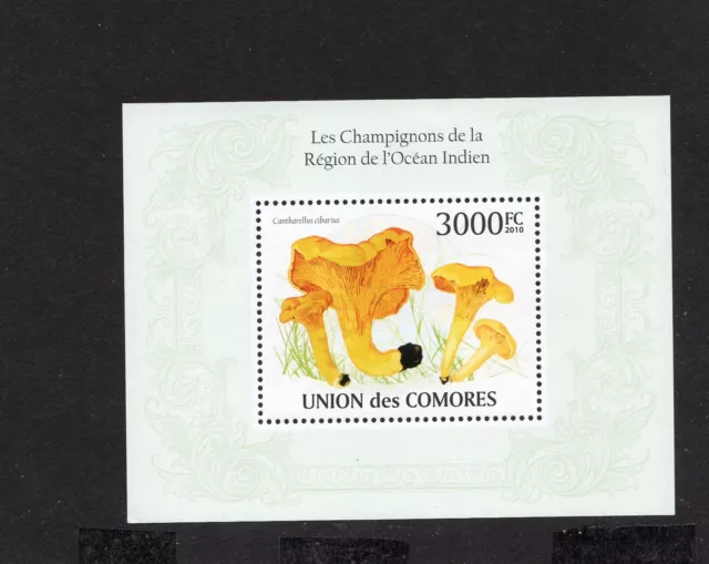 Comoros 2009 mini sheet of stamps Mi#2652-2655 + Bl.566 MNH CV=28.8$