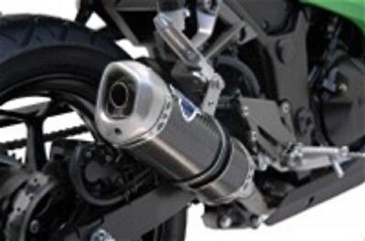 Ninja 300 Intérêt Pour Inox Chemise Carbone Termignoni Borne de Drain Termignoni Kaw 