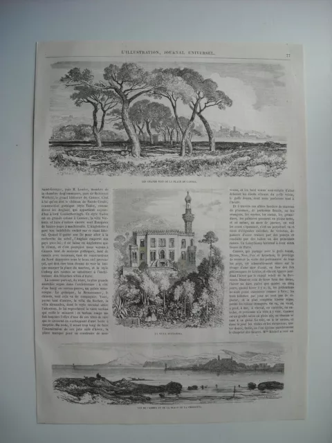 Gravure 1864. Cannes. Les Grands Pins De La Plage. Cannes Et Plage La Croisette.