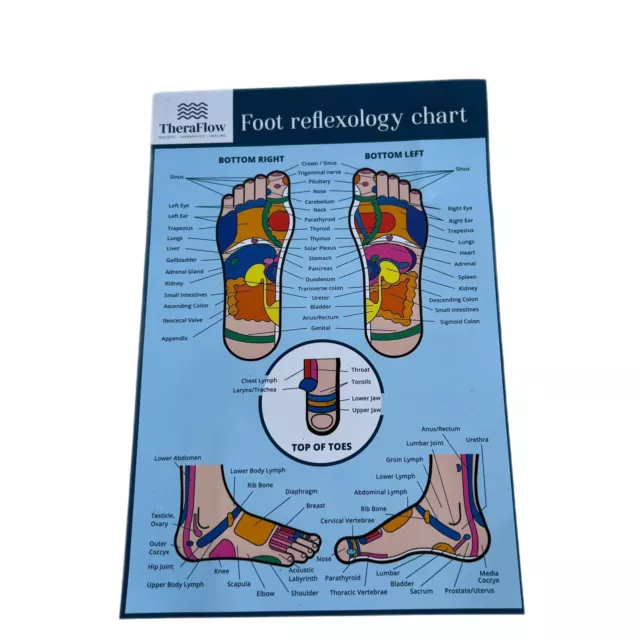 Foot Reflexology Chart Laminated 12” X 9”