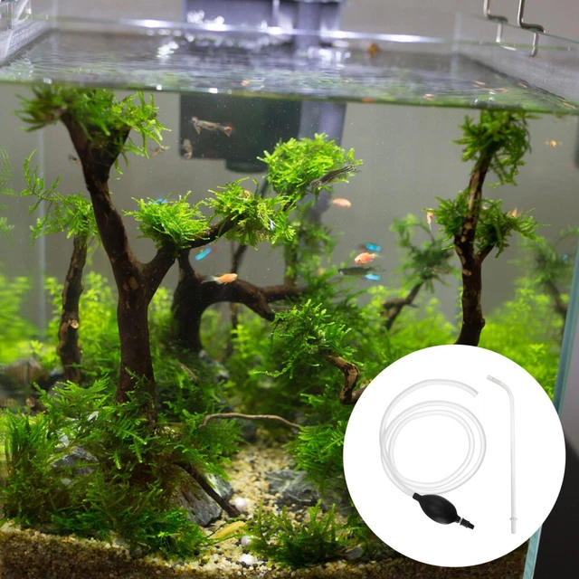 Acquario In Plastica 3L - Colorato Per Pesci, Ideale Per Bambini