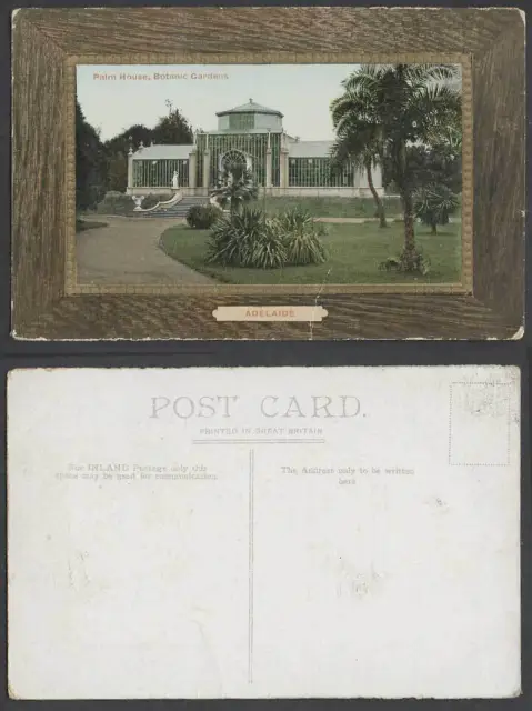 Australia Adelaide Palm House Botanic Gardens Botanical Garden Tree Old Postcard