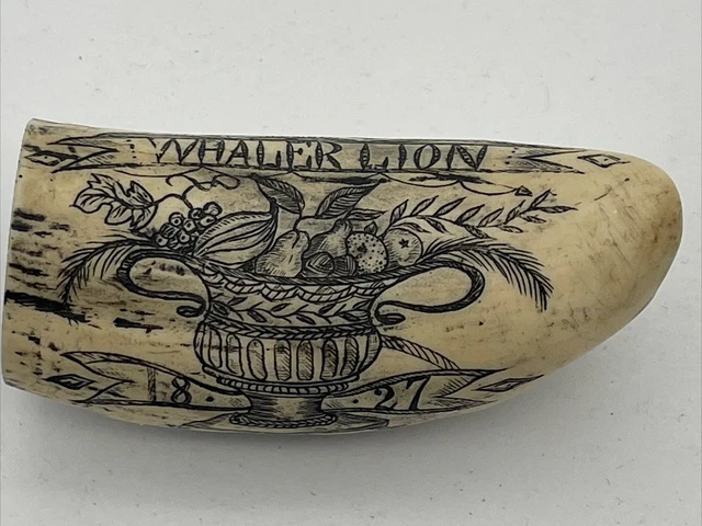 Faux Scrimshaw Whaler Lion 1827 Resin Tooth 4" Replica