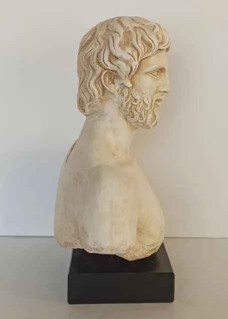 Asclepius - Head Bust - God of Medicine - Marble Base - Casting Stone 3