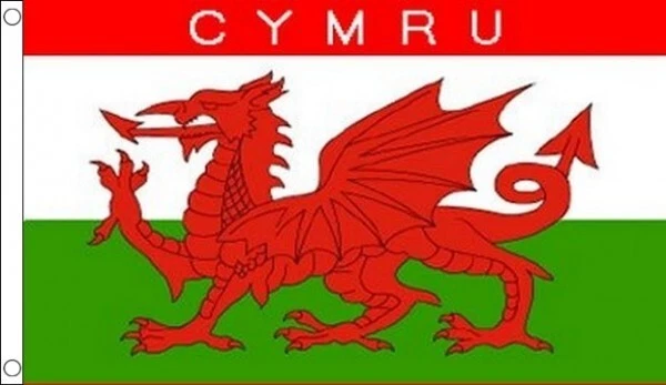 Wales Rugby Flag Giant 5ft X 3ft - Welsh Dragon Cymru 6 Nations Banner Welsh Dragon Flag - Foto 8