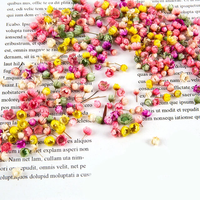60Pcs Real Dried Flowers DIY Art Epoxy Resin Candle Jewellery Filler Accesso--p9