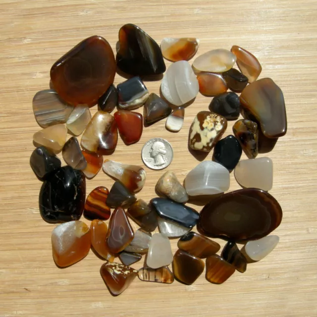 Agate Crystal Collection Mixed Polished Stones Slices and Geode Rocks 1LB Lot