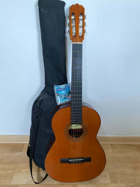 Gitarre inklusve Tasche und neuer Seiten