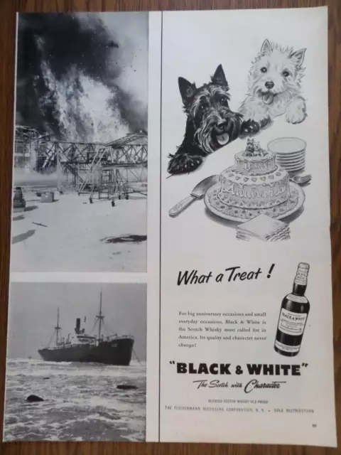 1956 Black White Scottish Scotty Terrier Westie Ad Anniversary Party Cake