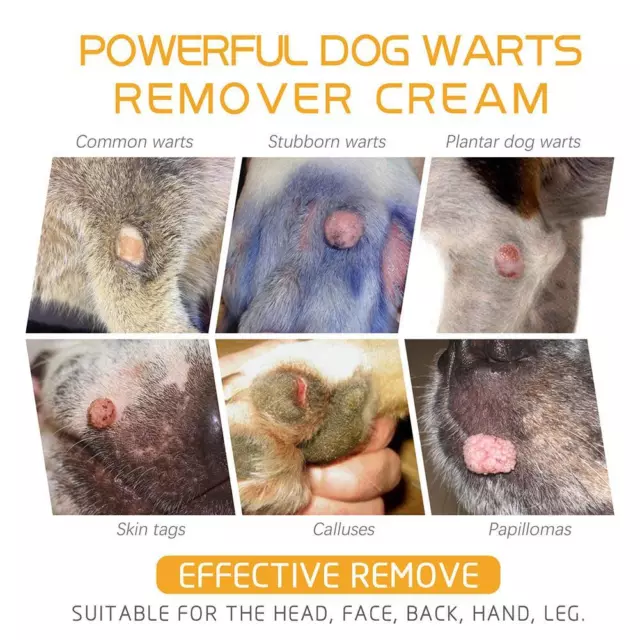 Natural Pet Dog Wart Remover Dogs Skin Tags Dog Wart Removal Body Treatment Y5V 2