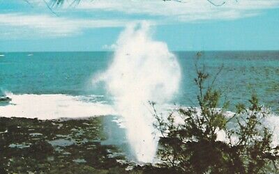 Spouting Horn Sea Geyser Kauai Hawaii Postcard 1950's