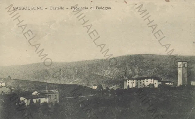 Cartolina Sassoleone Emilia Romagna Castello Bollo Staccato Viaggiata 1926