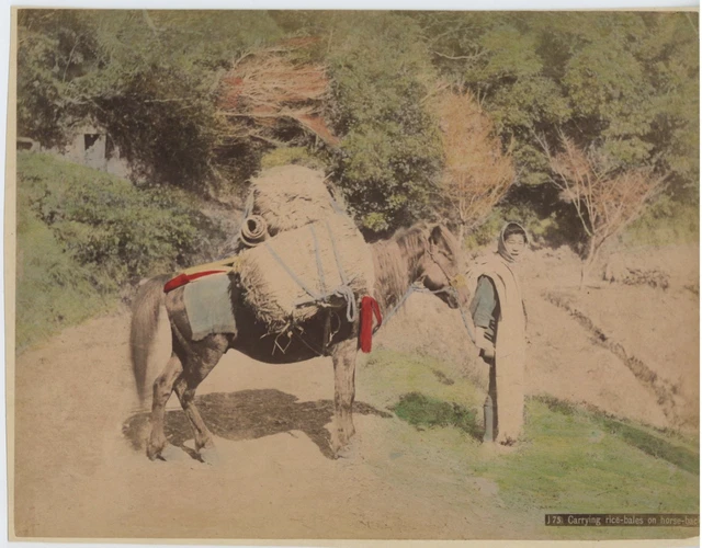 Photo Vintage Inde 1875 - Bungalow à Rawalpindi, Tirage Albuminé 10,5x15,5 Cm