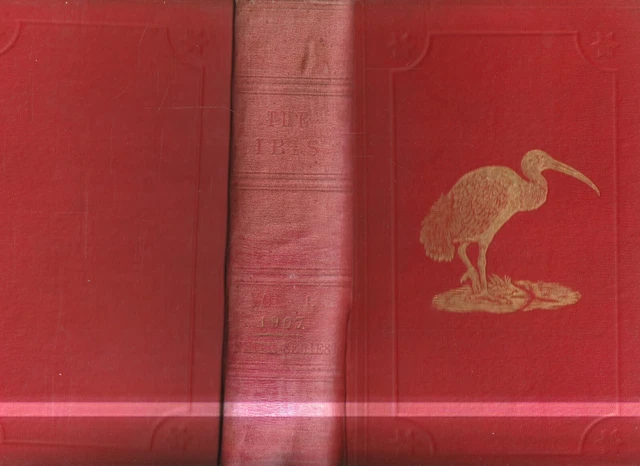 Antiquarian ,The Ibis , Quarterly Jounal Of Ornothology , 1907