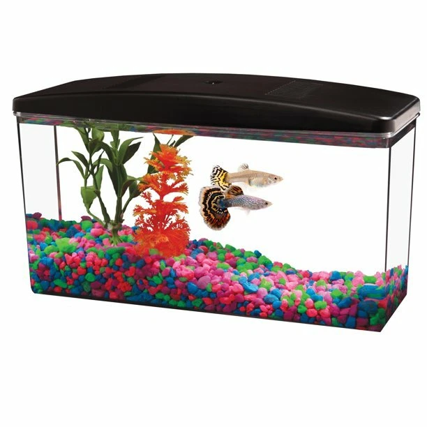 Aqua Culture Betta View 1/2-Gallon Fish Tank with Full Hood