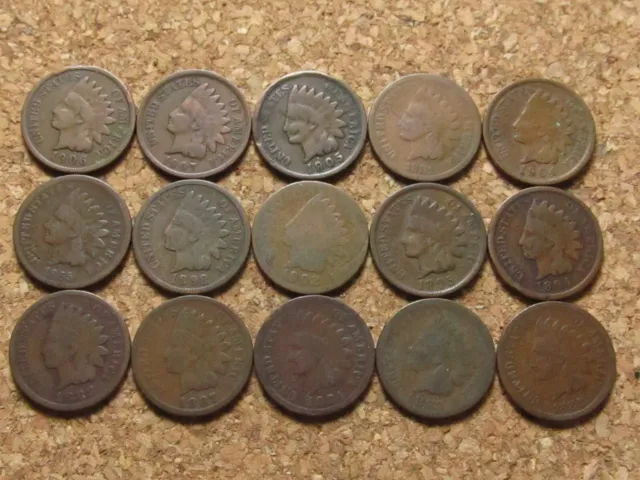 Indian Head Cent Penny Lot - 15 Coins - Bronze