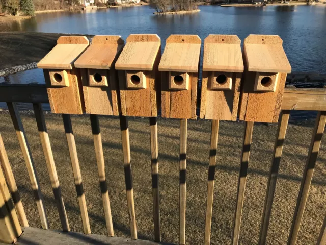 Cedar Bluebird Bird House  3/4" THICK Cedar Birdhouse! FREE SHIP Predator Guard