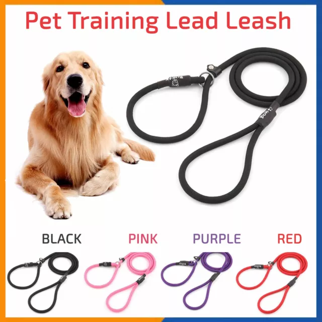 Strong Nylon Slip On Rope Dog Puppy Pet Training Lead Leash No Collar Needed