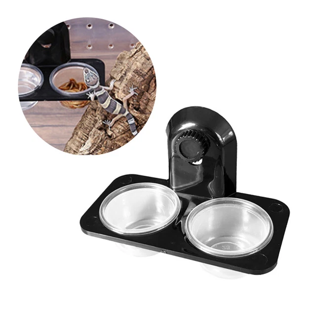 Sacs De Fête | Sacs De Fête Pour Reptiles | Sacs De