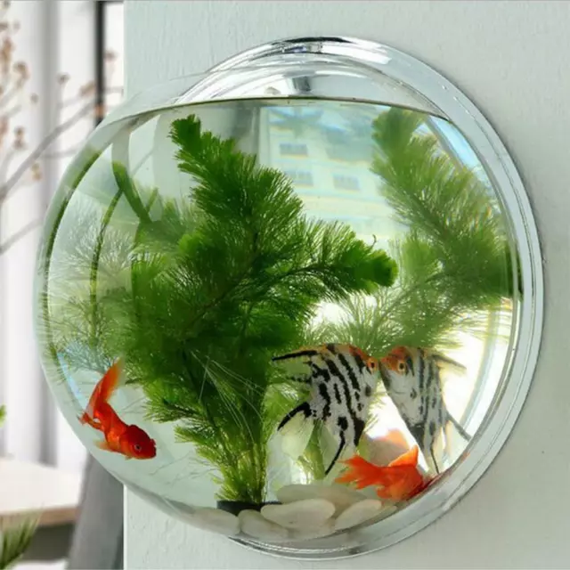 Clear Wall Mounted Fish Bowl Aquarium Plant Tank Beta Goldfish Hanger Decoration