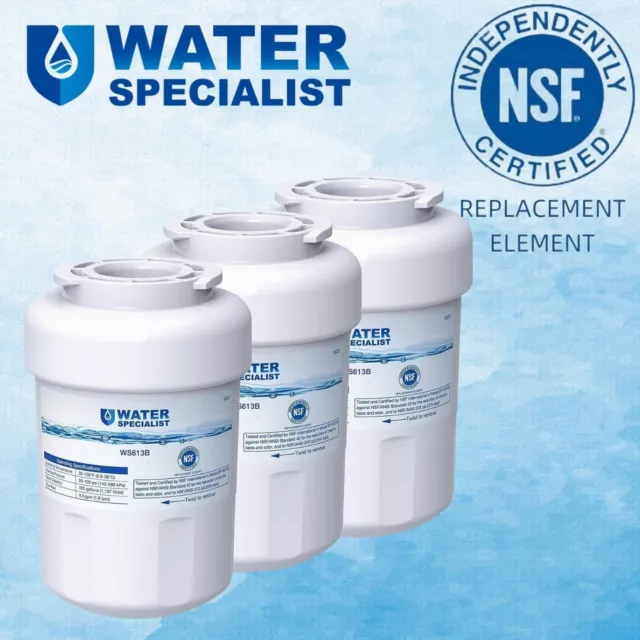 Waterspecialist MWF Refrigerator Water Filter,Replacement for GE® SmartWater MWF