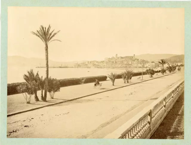 France, Cannes Vintage albumen print.  Tirage albuminé  21x27  Circa 1880