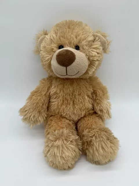 Build a bear Teddy