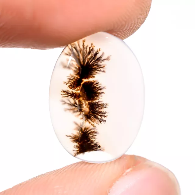 04.50 Cts. Beautiful Scenic Dendritic Agate Oval 15X10X2 MM Cabochon Gemstone