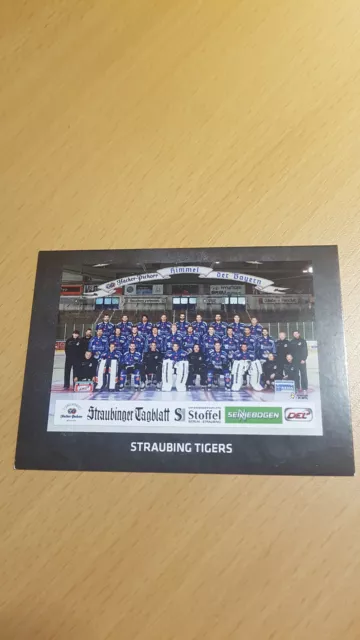 Del 16-17 2016-2017 Premium 2 Teamfoto Mannschaftsfoto Straubing Tigers