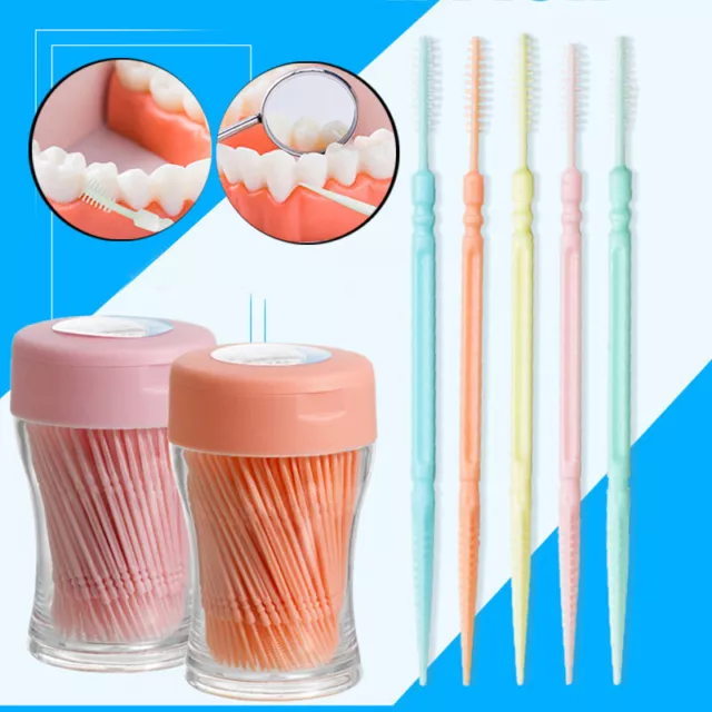 Double Tête Cure-Dents Hygiène Buccale Plastique Oral Outil 200PCS