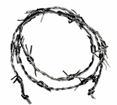 Lederband Barb Wire  "Stacheldraht", 1 Meter
