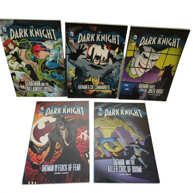 Lot of 5 The Dark Knight DC Comics Super Heroes Paperback Books 2013