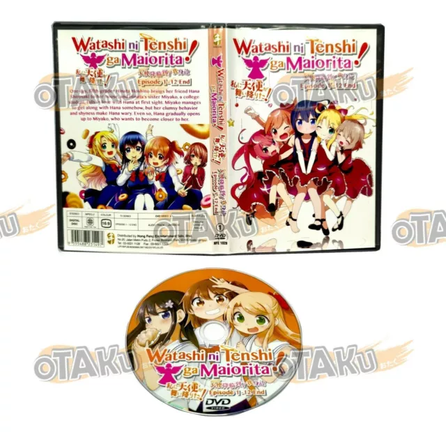 ANIME DVD Watashi Ni Tenshi Ga Maiorita! (1-12End+Movie+OVA) English  subtitle