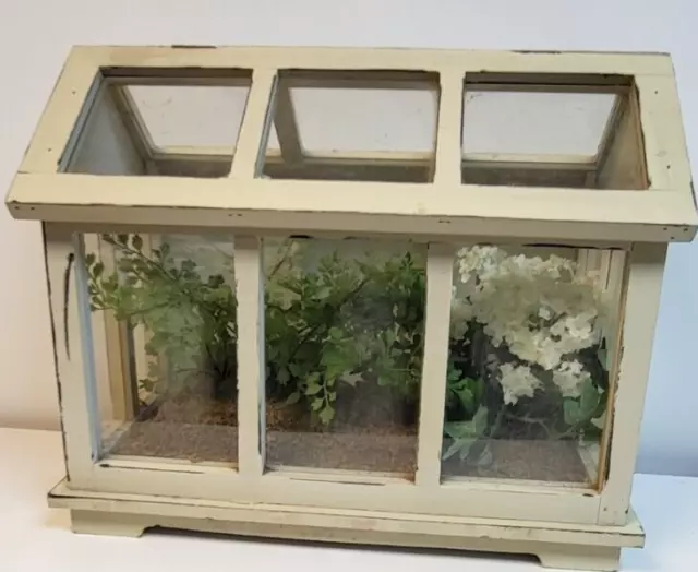 VINTAGE Terrarium display case (13"X16"X9") Table Top Mini Greenhouse Planter 2