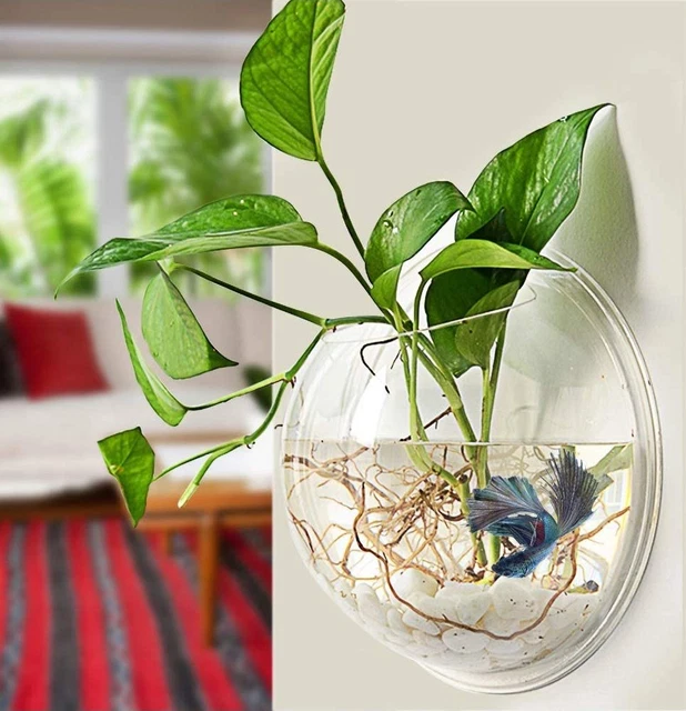 Fish Bowl Tank Wall Hanging Aquarium Mounted Acrylic Plant Mount Vase Plant Pot