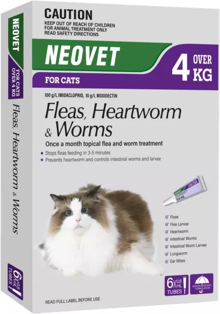 for CATS (OVER 4KG) 6 PACK