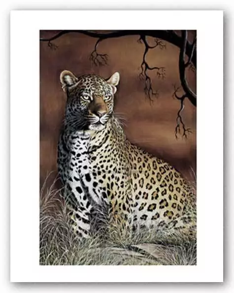 WILDLIFE ART PRINT Sitting Leopard Singh