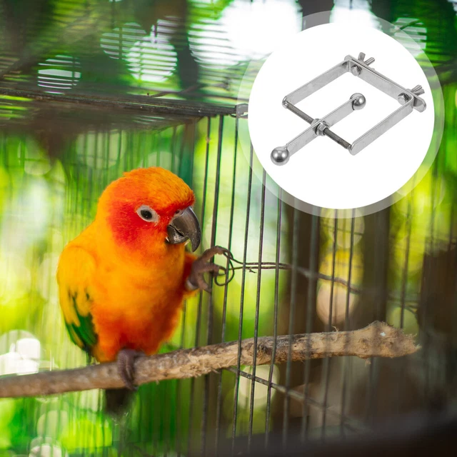 Giocattoli Bird Swing Pappagallo Giocattoli Giocattoli Morso Uccellini
