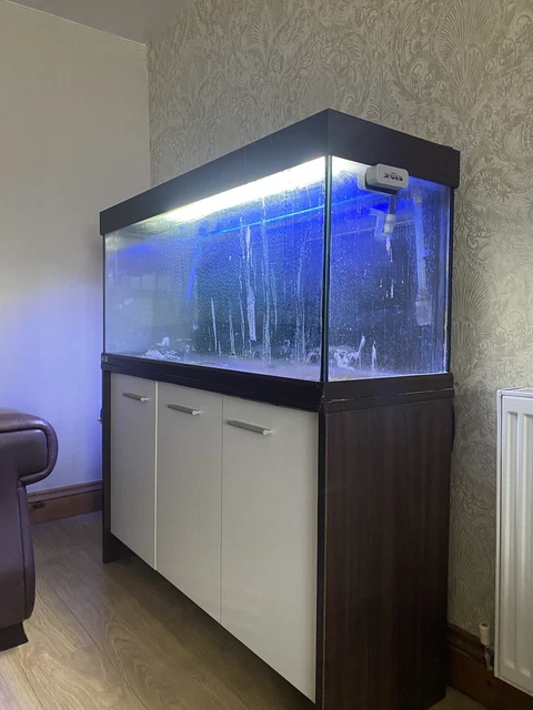4ft Eheim fish tank, stand and full set up
