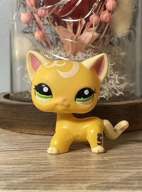PETSHOP CHAT EUROPEEN SANS NUMERO / VERSION PUZZLE