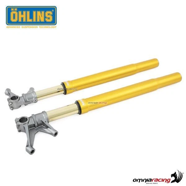 Fork Ohlins FGRT250 with cartridges 30mm gold sheaths for Yamaha R6 2017>