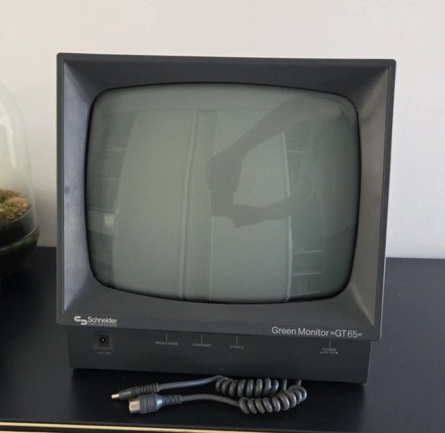 Écran Amstrad Schneider GT 65 – Moniteur Vert Pour CPC, état Fonctionnel