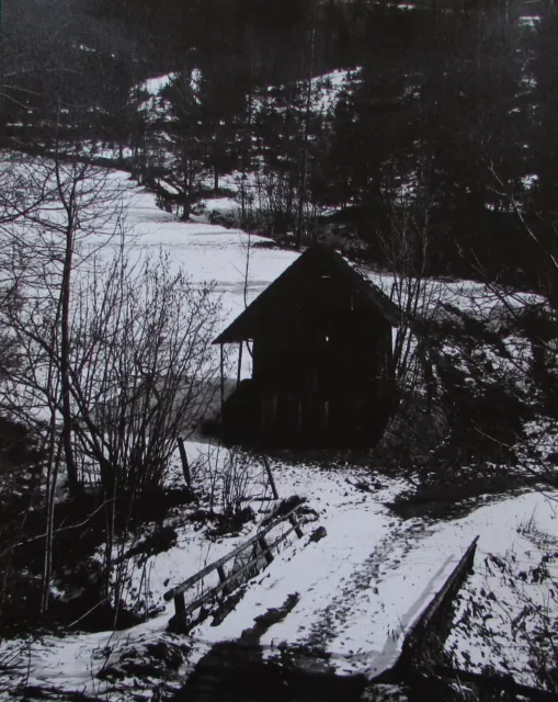 Kleine Hütte im Wald - sw Foto aus der 70er Jahre 28 x 22 cm signiert Fotokunst