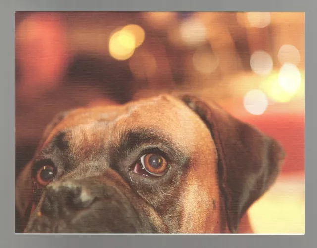 Set of 8 Boxer Note Cards - A Remarkable and Irreplaceable Friend 5.5" Dog