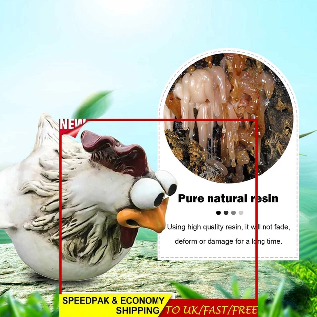 Big-Eyes Hen Craft Resin Hen Sculpture Funny Chicken Statues Garden Decoration