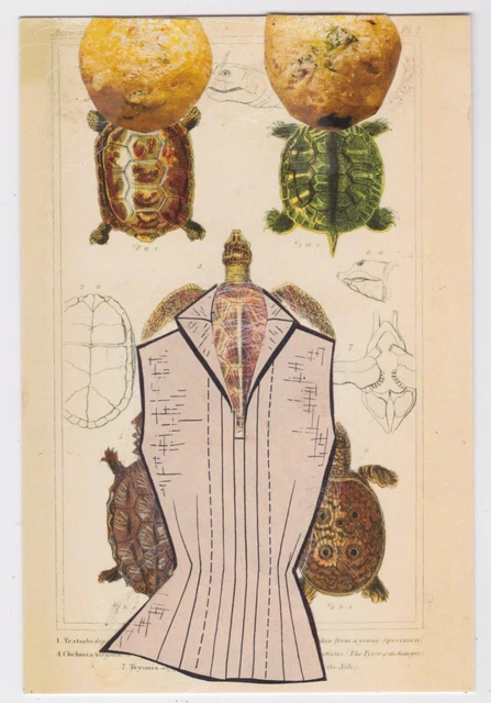 Mail Art David Greenberger "Pardon Me" original collaged postcard 2023