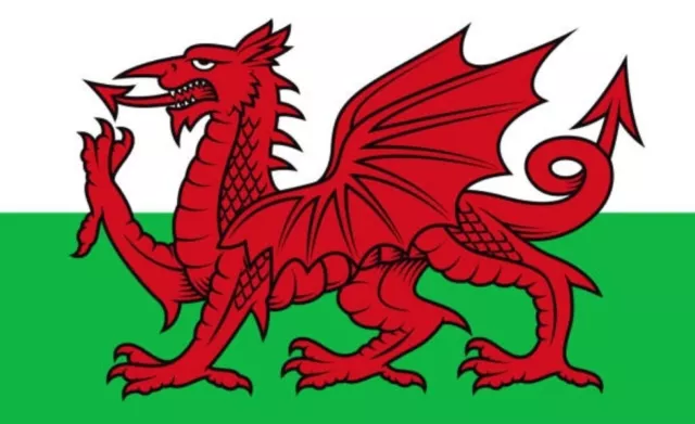 Wales National Flag 5X3FT Welsh Dragon World Cup Football Fan Supporter UKSeller